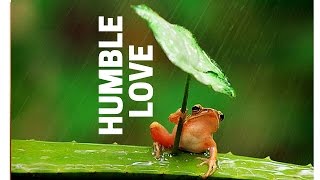 Love, Gratitude &amp; Kabbalah (Day 5 of 49)