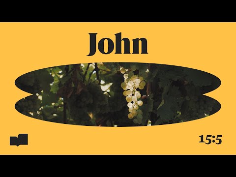 Verses - John 15:5 (Official Lyric Video)