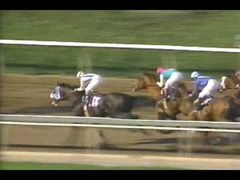1993 Breeders' Cup Day