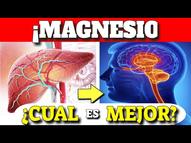 Vídeo relacionado con Manganeso 10mg - 250 comprimidos - 10mg de manganeso por comprimido - Gluconato de manganeso - ALTA DOSIS - Calidad de farmacia alemana - Vegano | Warnke Vitalstoffe