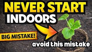 Seeds You Should NEVER Start Indoors (Big Mistake)