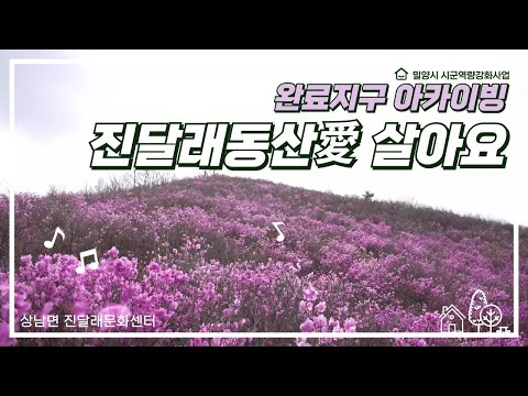진달래동산愛 살아요: 진달래 향기 가득한 상남면 이야기