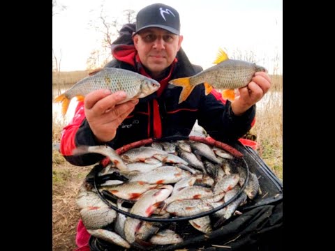 Wiosenne Płocie na rzece Noteć