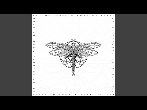 Song of Trees (Sid Le Rock Remix)