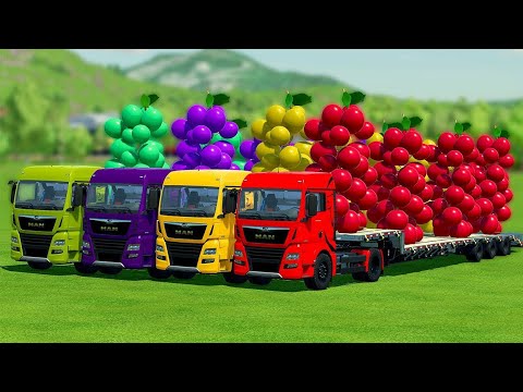 LOAD & TRANSPORT GIANT COLORFUL GRAPES WITH MCCORMICK TRACTORS - Farming Simulator 22