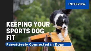 Keeping Your Sports Dog Fit