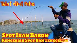 Download lagu Ngeri..!! Mancing di Spot Ban Tenggelam Sarang nya ikan kerapu Babon mp3