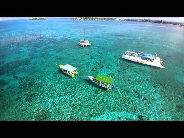 SNORKELING THE REEF IN NEGRIL.