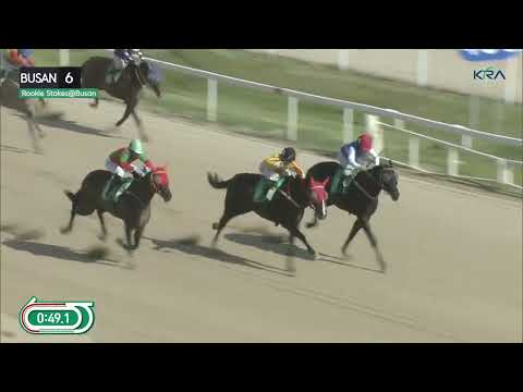 (Busan) 2023.08.27 R6 Class Open (1200M) Special Weight A - Rookie Stakes at Busan