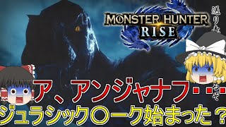 【MHR】ぼっちハンターがいくモンハンライズ！【ゆっくり実況】part24