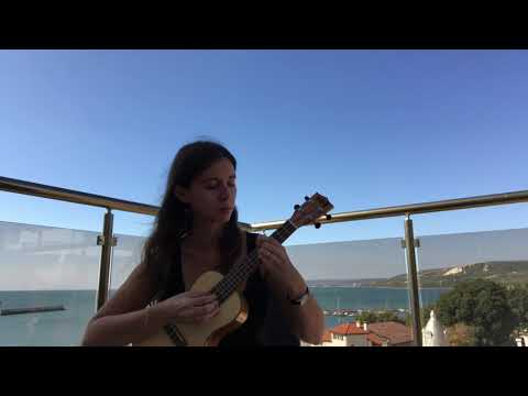 Mr Moustafa - Grand Budapest Hotel (Ukulele Cover)