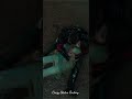 Tum Hi Aana Full Screen Status Video Jubin Nautiyal Marjaavaan Sidharth M Tara S Shorts