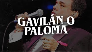 José José - Gavilán o Paloma (Letra)