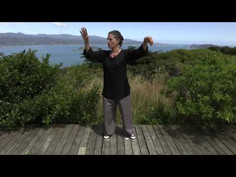 UPDATED : Tai Chi 5 Min a Day Mod 02 - Easy for Beginners - Cloud Hands and Single Whip - New Music