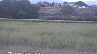 preview picture of video 'Deer,Monster Bucks,Colorado Muley's,Wildlife,'