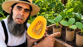 Grow Huge Pumpkins From Seed With These Easy Transplanting & Fertilizing Tips