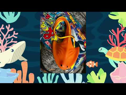 The pelican eel (Eurypharynx pelecanoides)