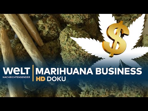Big Business Cannabis: Der grüne Rausch | Industrie-Doku