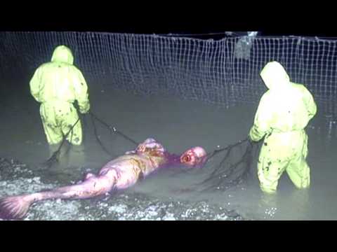 The 20 Scariest Things Found in Rivers