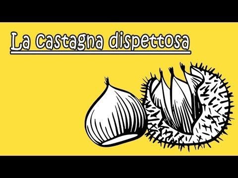 la castagna dispettosa earrape