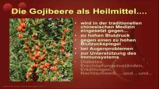 Gojibeere als Hausmittel und Heilmittel