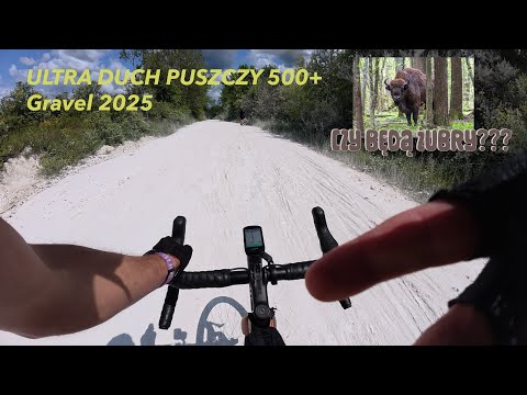 Ultra Duch Puszczy 500+ 2025
