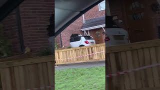 videos de risa entró al auto en la casa