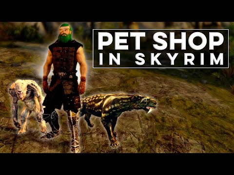 3 Unique Shop and Vendor Mods in Skyrim - Shapeless Skyrim PS4 Mods (Ep. 217)