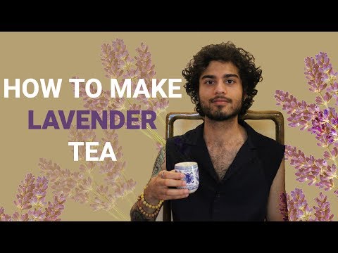 download lagu mp3 mp4 Where Can I Buy Fresh Lavender, download lagu Where Can I Buy Fresh Lavender gratis, unduh video klip Where Can I Buy Fresh Lavender