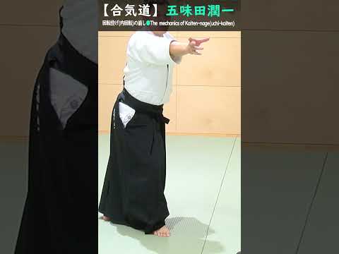 五味田潤一:回転投げ（内回転）の崩しのメカニズム【解説2】#short #aikido #aikidotechniques #aikidoaikikai #aikidolife #budo