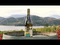Blasted Church Pinot Gris