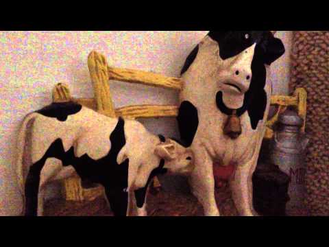 Punching an angry cow!!!!