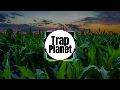 Camoufly - Mindpower