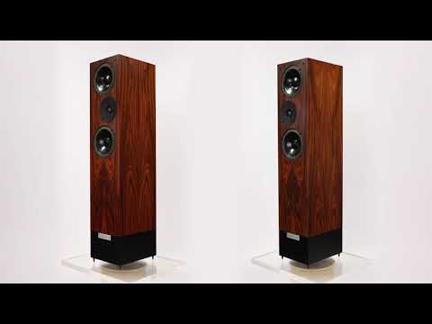 Living Voice IBX-RW - Santos