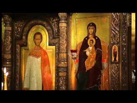 Просмотр видео