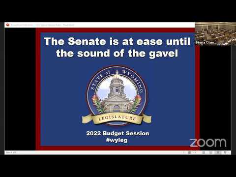 Senate Floor Budget Session-Day 16, March 7, 2022 -PM