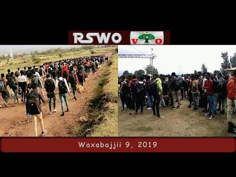 RSWO | 'Waraanni gale tokkollee hin jiru' (Hoogganaa WBO Zoonii Gujii Lixaa)
