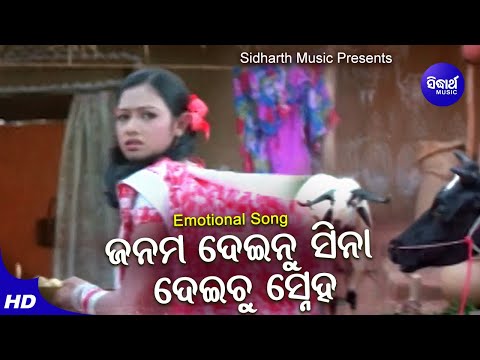 Janama Deinu Sina Deichhu Sneha - Sad Film Song | Nibedita | Archita | Sidharth Music