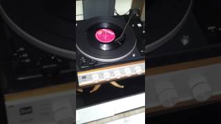 Edip AKBAYRAM dan  Kahbe Felek