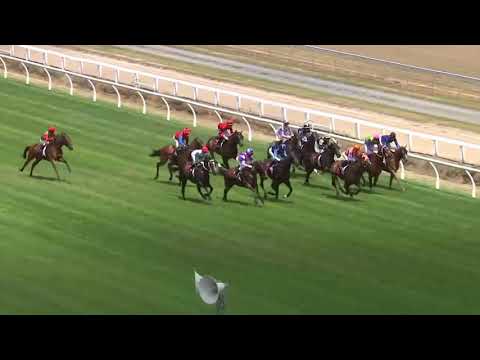 Legacy Lodge Waikato Guineas Tokorangi