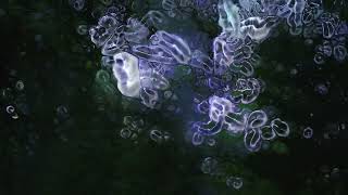 Green- House – “Castle Song”