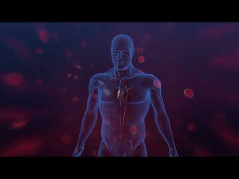 Le droit du coeur (2020) - Zao Van den Brempt