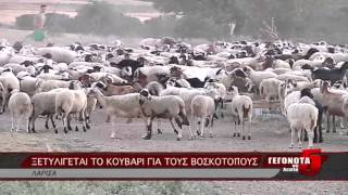 ΞΕΤΥΛΙΓΕΤΑΙ ΤΟ ΚΟΥΒΑΡΙ ΓΙΑ ΤΟΥΣ ΒΟΣΚΟΤΟΠΟΥΣ