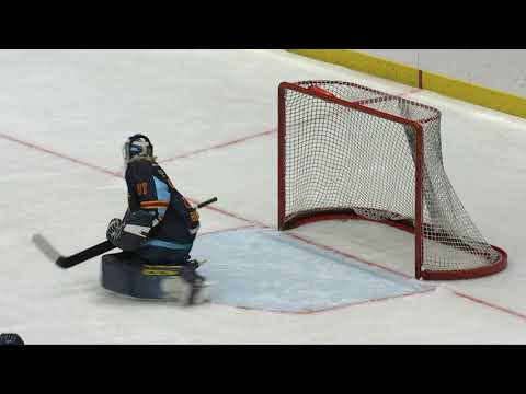 Höjdpunkter SDHL Djurgården - AIK 16/9