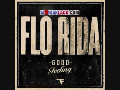 Flo Rida - Good Feeling vs Avicii Levels (Craig Wilson Remix)