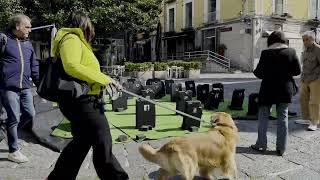 salerno-lapidi-in-piazza-portanova-ecco-l-allestimento-dell-opera
