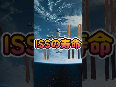 STS-114 スティーブ・ロビンソン on Canadarm2.jpg