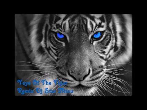 Eye Of The Tiger [Remixed By  Dj Star Nitou] 2016