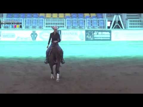 FONCK POELS ANN SPOOK N PERLA GOLDEN PAINT RANCH