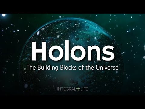 Holons: The Building Blocks of the Universe